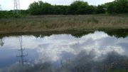 DSC01967.jpg