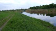 DSC01968.jpg