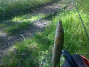17052011063.jpg