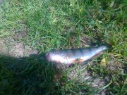 17052011066.jpg