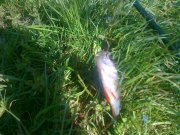 17052011067.jpg