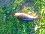 17052011069.jpg