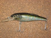 IMG_1541.JPG