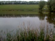 IMG_0435.jpg