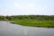 IMG_9375.JPG