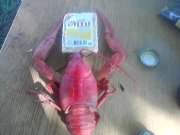 P14-05-11_16.40.jpg