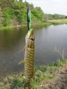 IMG_1855.JPG