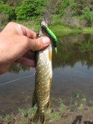 IMG_1857.JPG