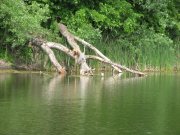 IMG_1860.JPG