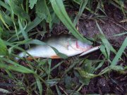 DSC03197.JPG