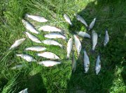 170520111432.jpg