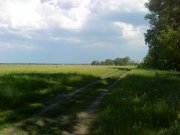 DSC00429.jpg