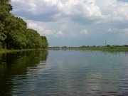 DSC00426.jpg