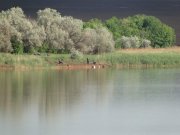 DSC02692.jpg