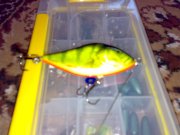 23052011045.jpg