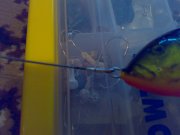 23052011046.jpg