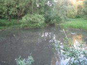 IMG_8682.jpg
