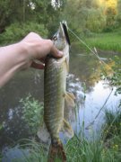 IMG_8680.jpg