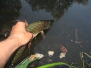 IMG_8684.jpg