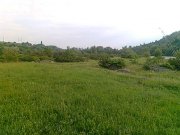 Фото0074.jpg