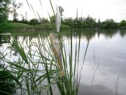 25.05-1.jpg