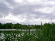 25.05-3.jpg