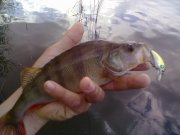 12052011266.jpg