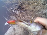 18032011112.jpg