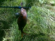 26052011073.jpg