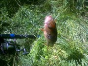 26052011074.jpg