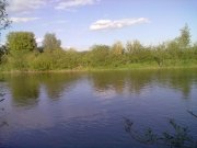 25052011297.jpg