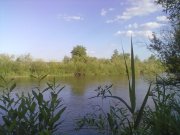 25052011298.jpg