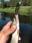 IMG_1920.JPG
