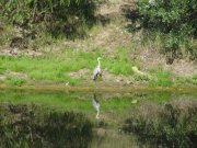 IMG_1924.JPG