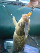 DSC00107.JPG