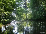 05.29.11 019-1.jpg