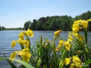 05.29.11 039-1.jpg