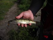 29052011_2 copy.jpg
