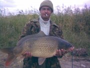 08092010.jpg