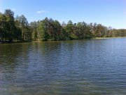 IMAG0264.jpg
