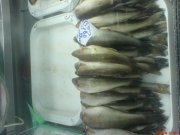 DSC01644.JPG
