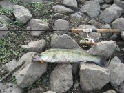 IMG_2626.jpg