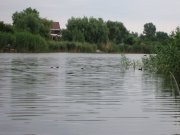 IMG_0022_1.jpg