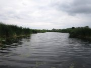 IMG_0031_1.jpg