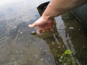 IMG_0048_1.jpg