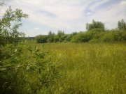 14062011423.jpg