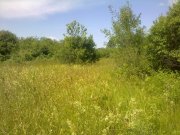 14062011424.jpg