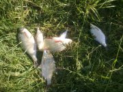 14062011426.jpg