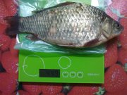 15062011580.jpg