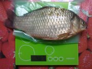 15062011582.jpg